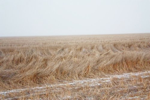 Property photo 54 - Kansas Land Auction - 960 Acres - 7 Farms in 3 Counties